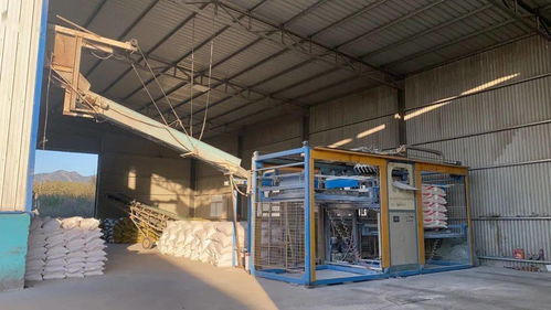 諸南面粉廠誠招全國經銷商，攜手共贏，共創未來